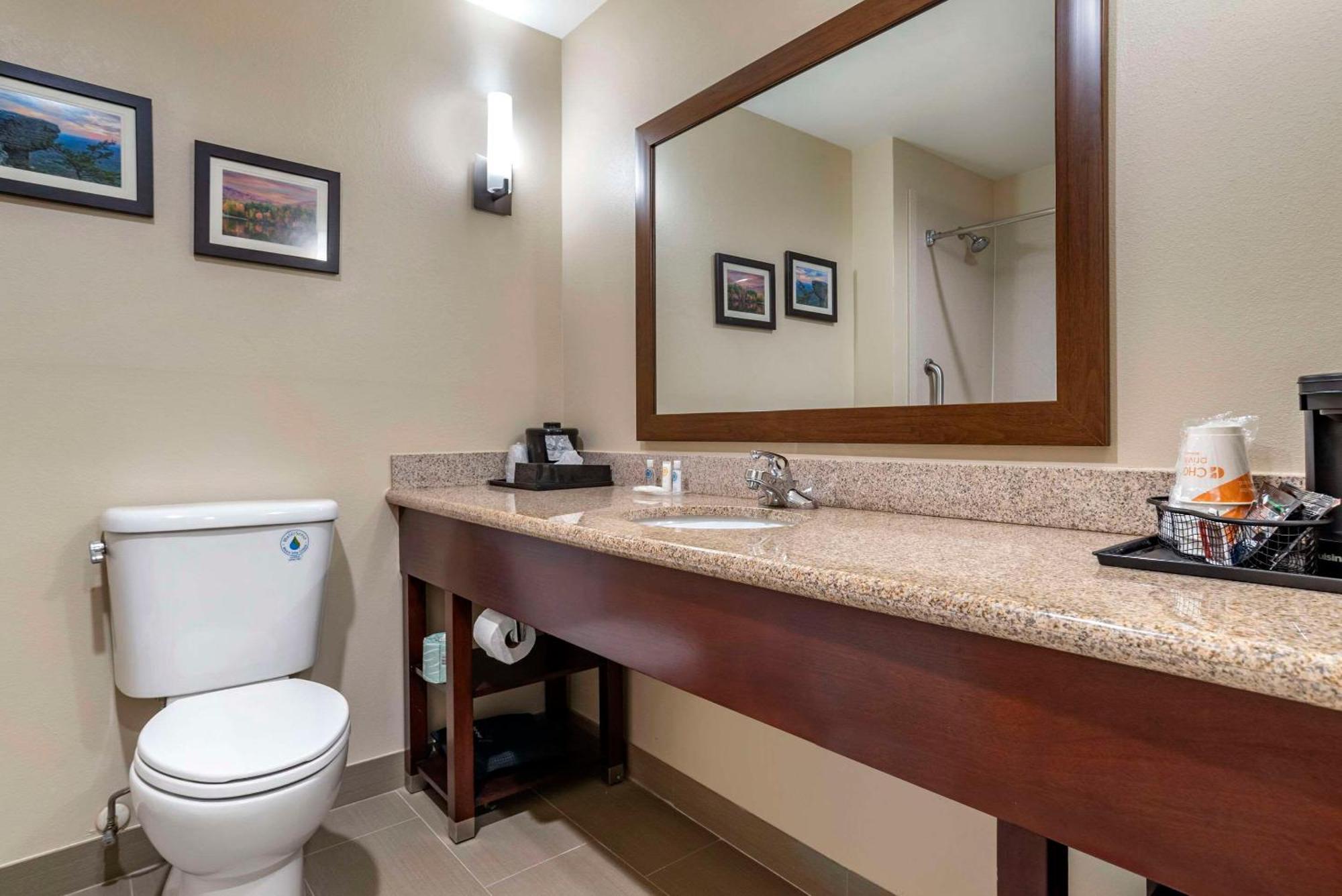 Comfort Suites Pell City I-20 Exit 158 Extérieur photo