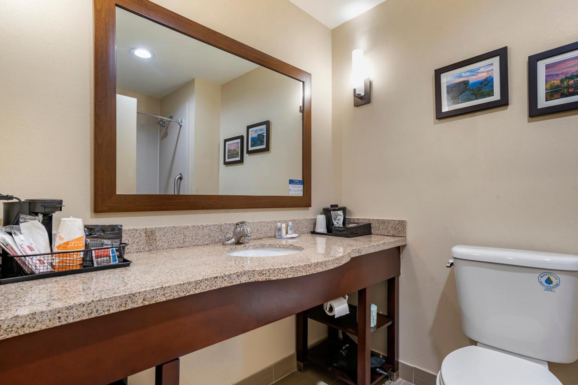 Comfort Suites Pell City I-20 Exit 158 Extérieur photo